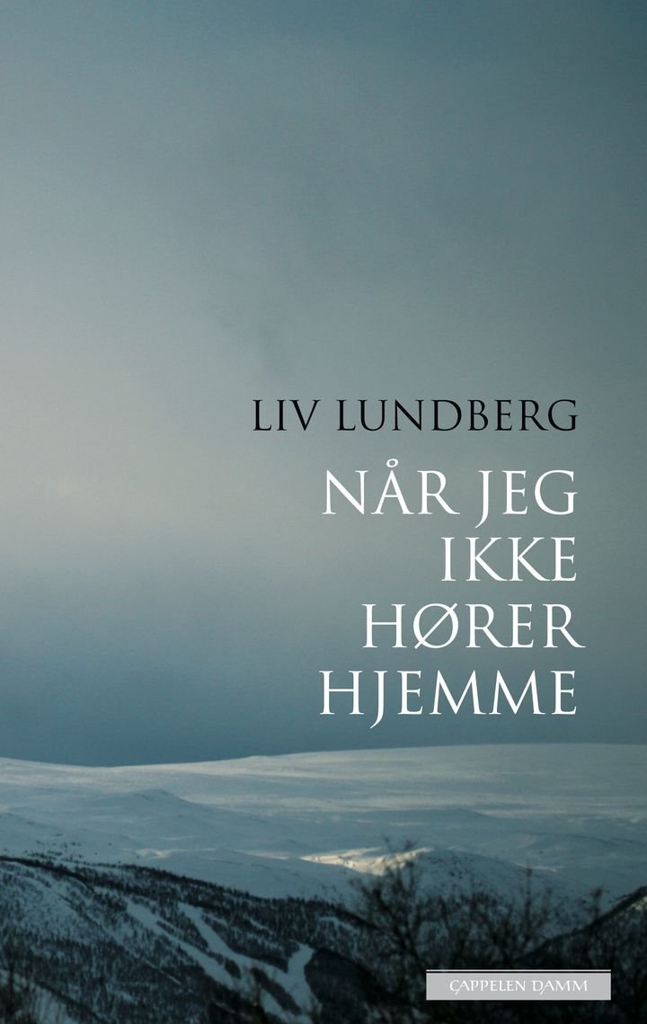 Når jeg ikke hører hjemme - dikt