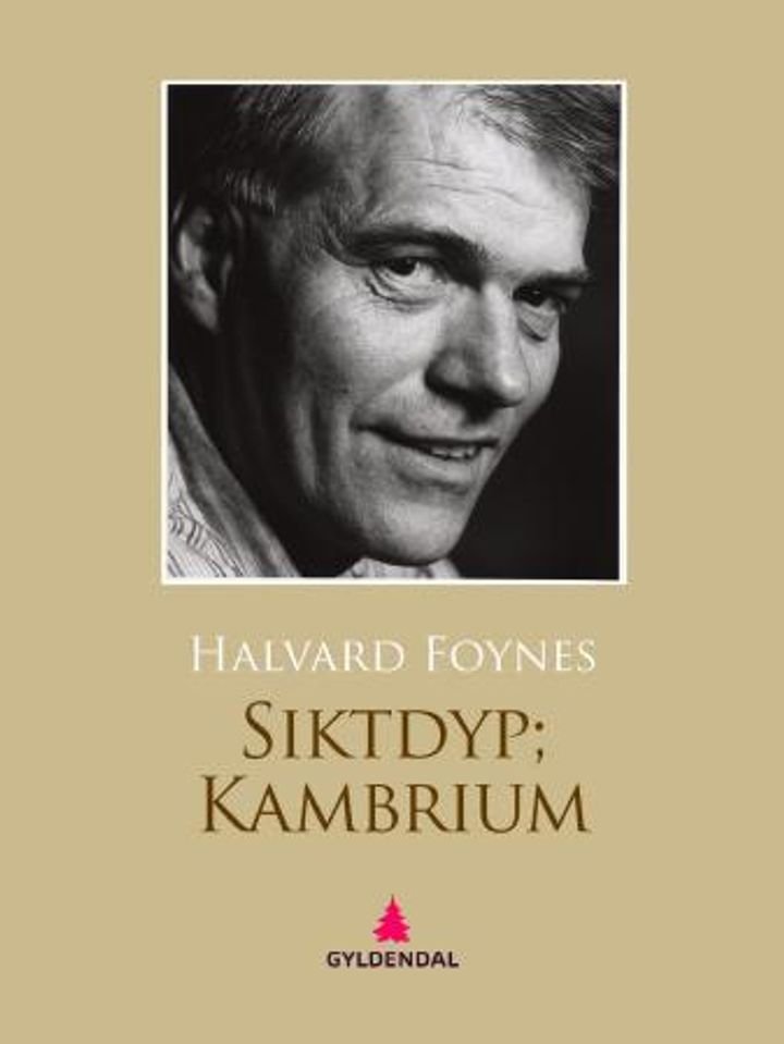 Siktdyp  kambrium - dikt