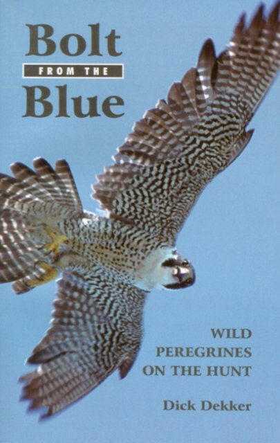 Bolt from the Blue