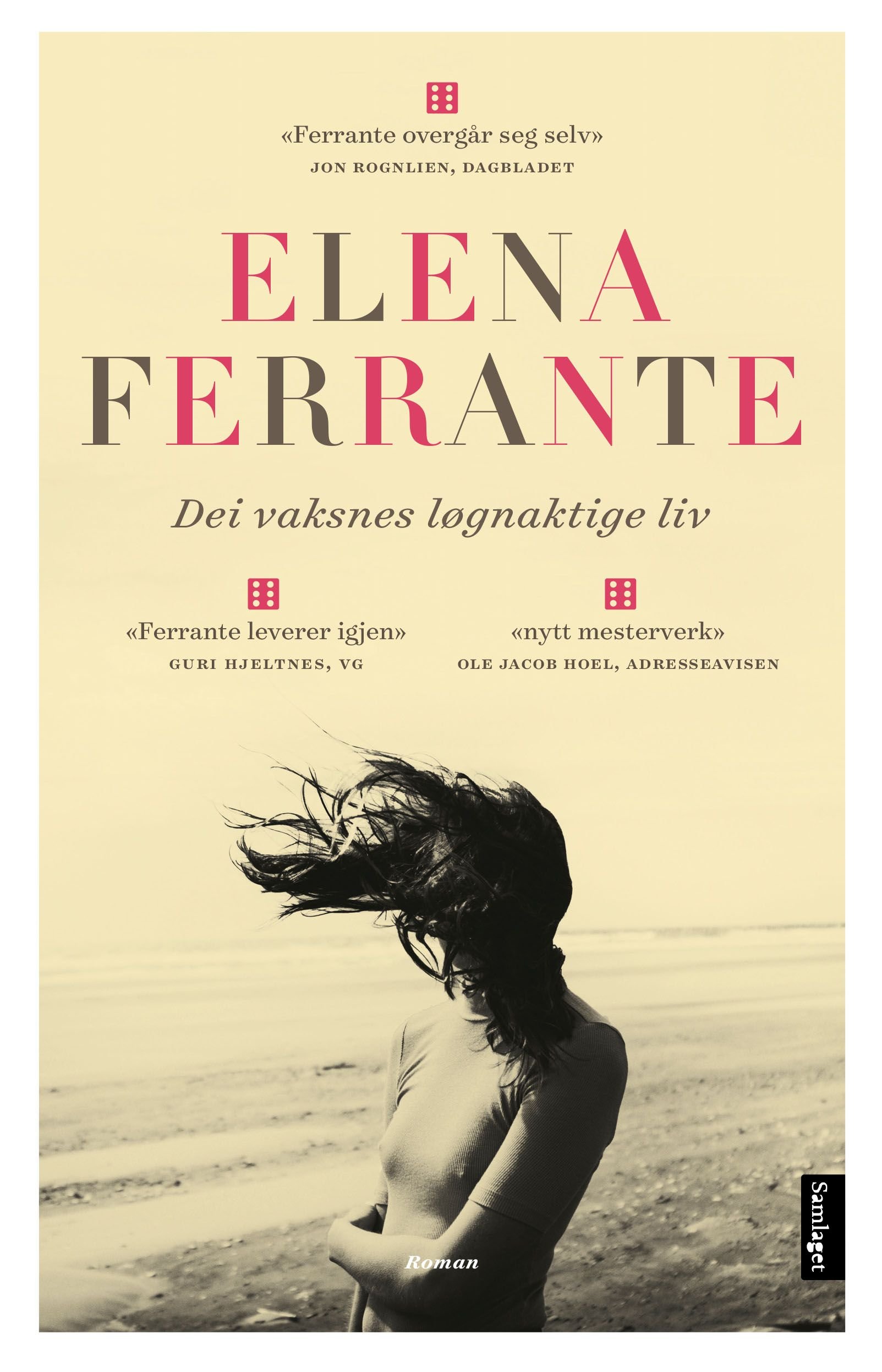 Dei vaksnes løgnaktige liv - roman
