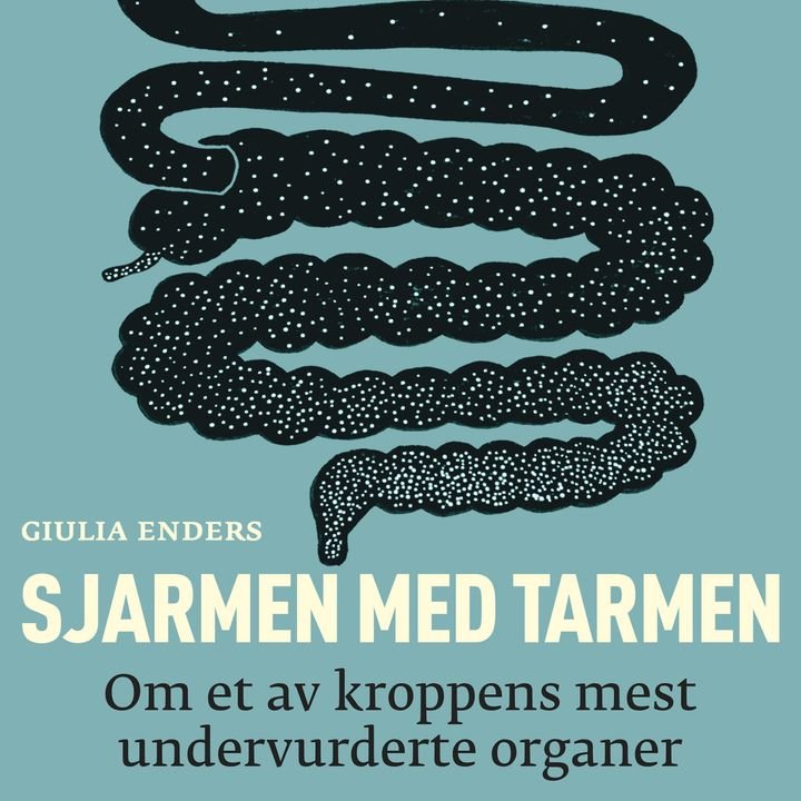 Sjarmen med tarmen - om et av kroppens mest undervurderte organer