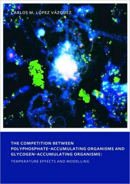 The Competition between Polyphosphate-Accumulating Organisms and Glycogen-Accumulating Organisms: Temperature Effects and Modelling