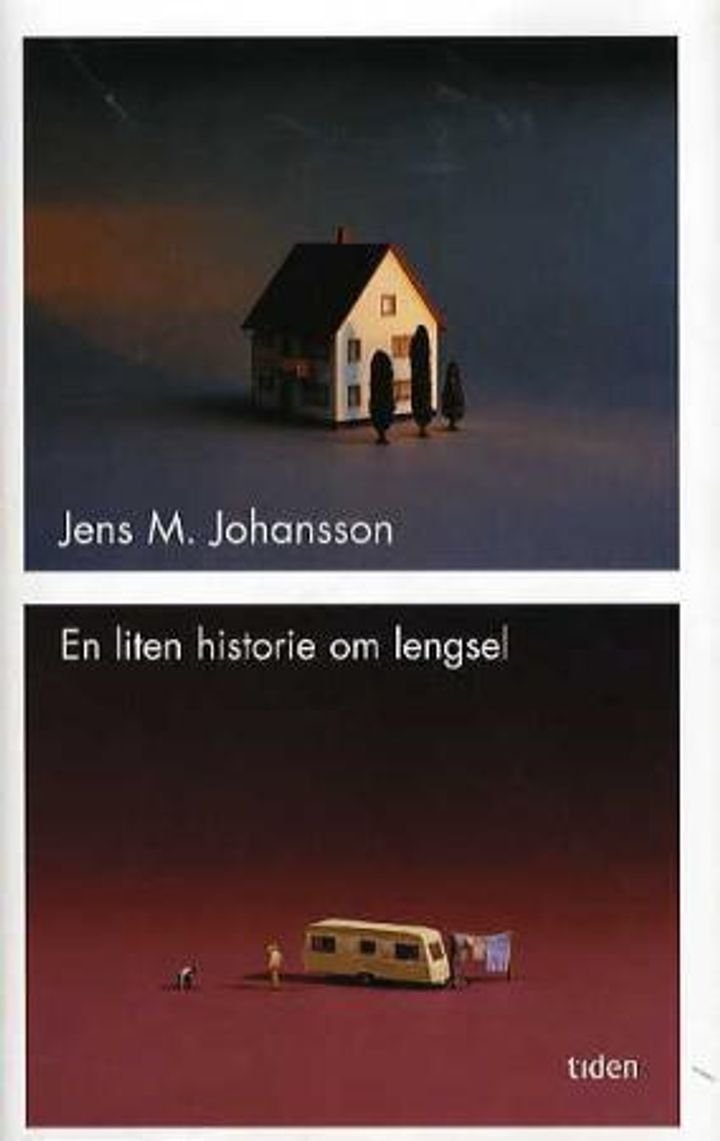En liten historie om lengsel - roman