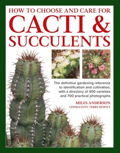 How to  Choose and Care for Cacti & Succulents