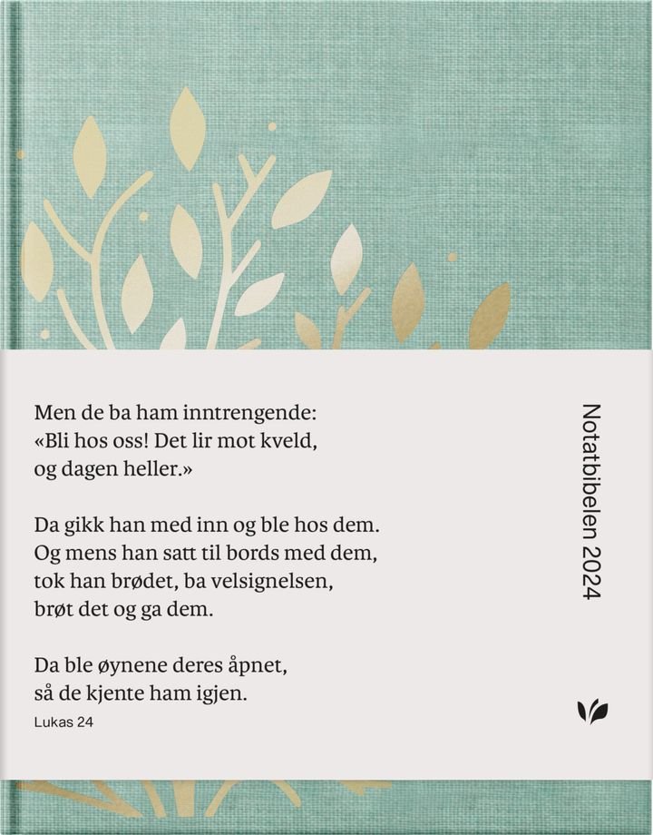 Bibelen - den hellige skrift : Det gamle og Det nye testamentet
