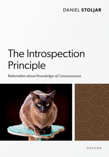 The Introspection Principle