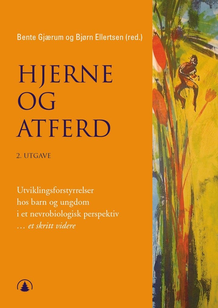 Hjerne og atferd - utviklingsforstyrrelser hos barn og ungdom i et nevrobiologisk perspektiv : et skritt videre