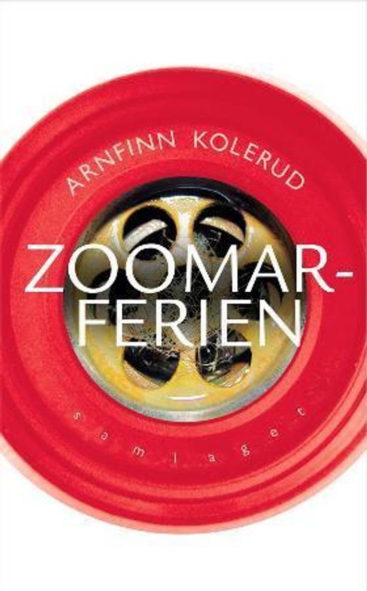 Zoomarferien - roman