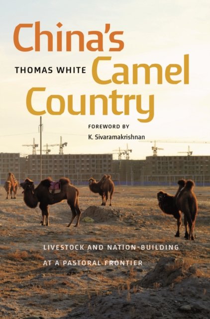 China''s Camel Country