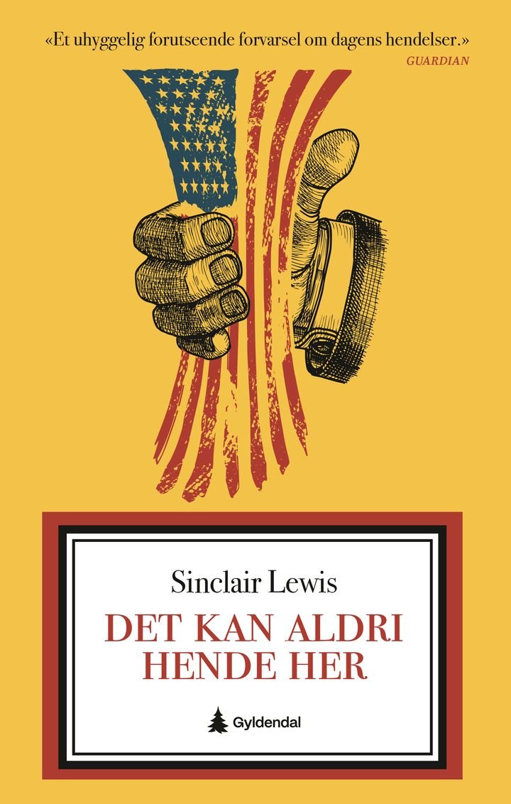 Det kan aldri hende her - roman