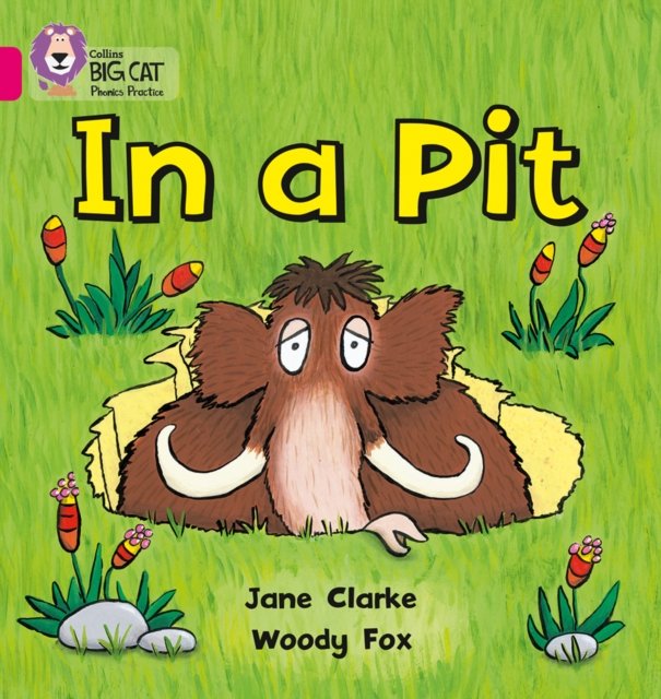 BIG CAT PHONICS - IN A PIT