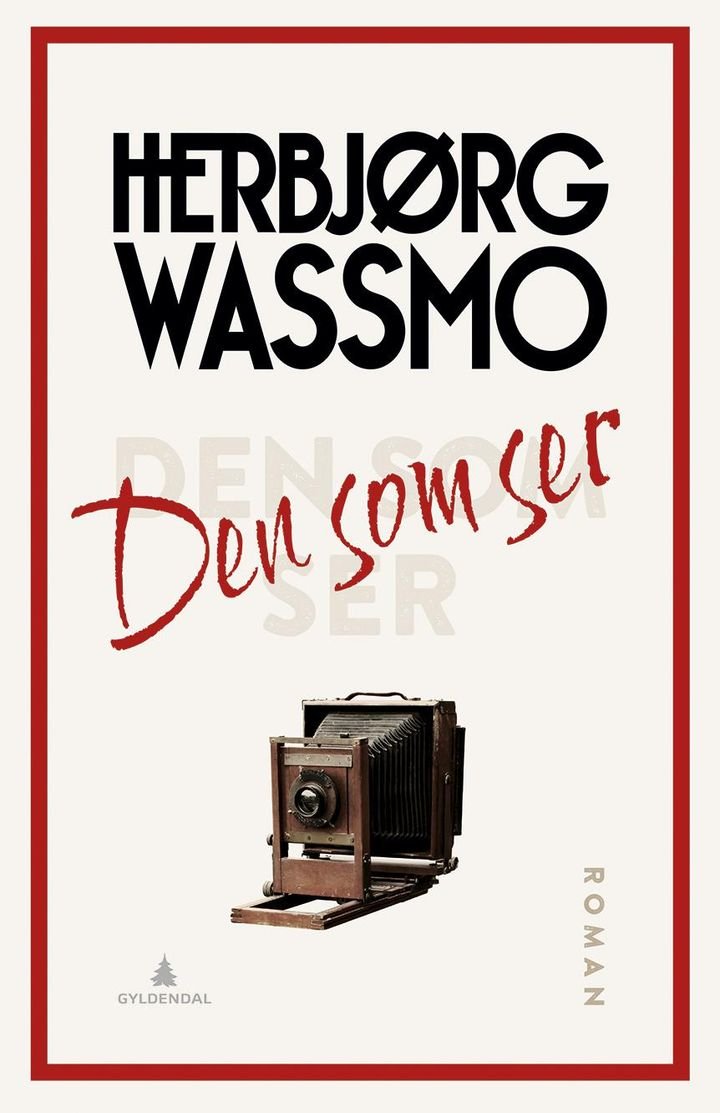 Den som ser - roman