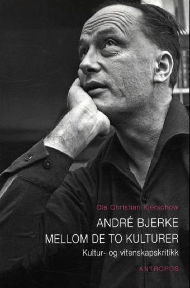 André Bjerke mellom de to kulturer - kultur- og vitenskapskritikk