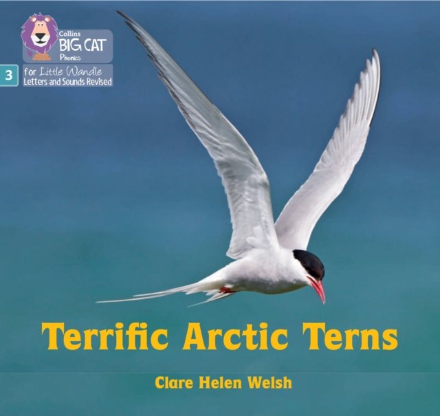 BIG CAT LW L&S_ARCTIC TERNS