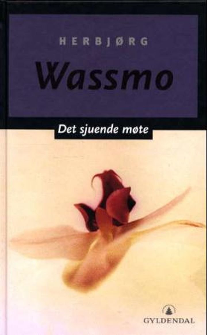 Det sjuende møte - roman