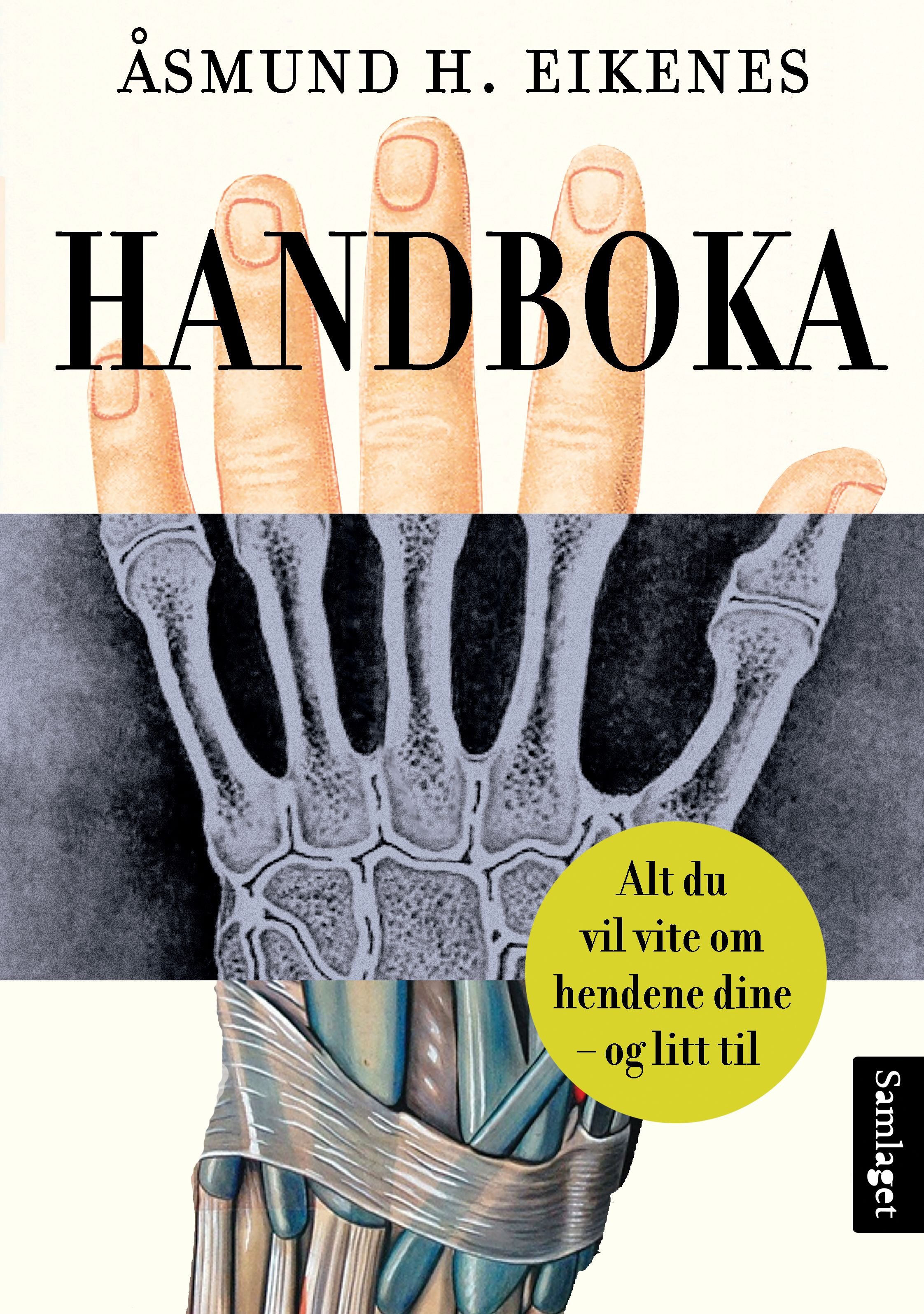 Handboka - alt du vil vite om hendene dine - og litt til