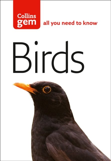BIRDS_GEM PB