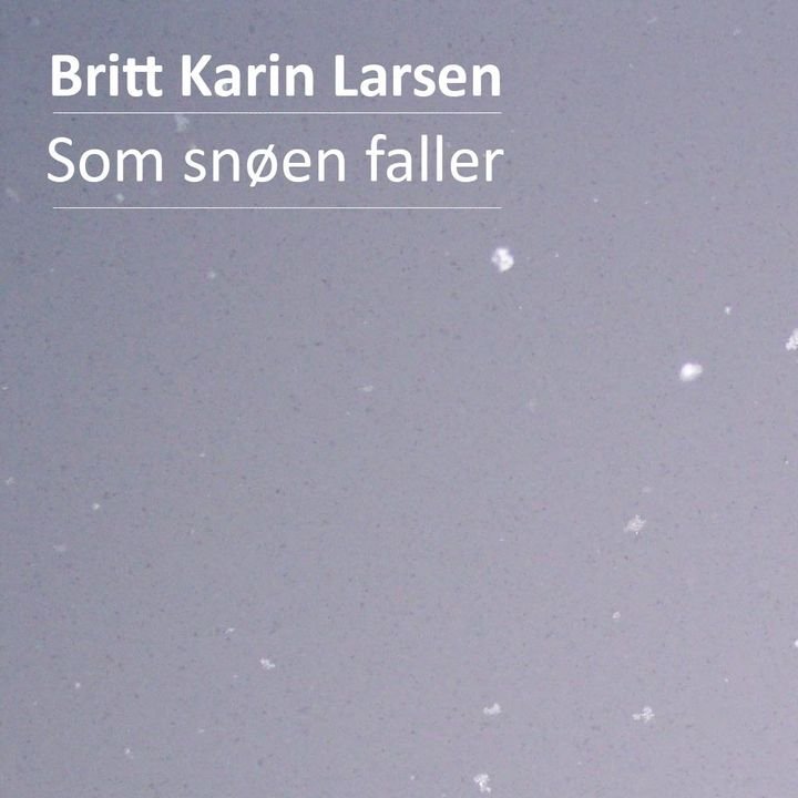 Som snøen faller - roman