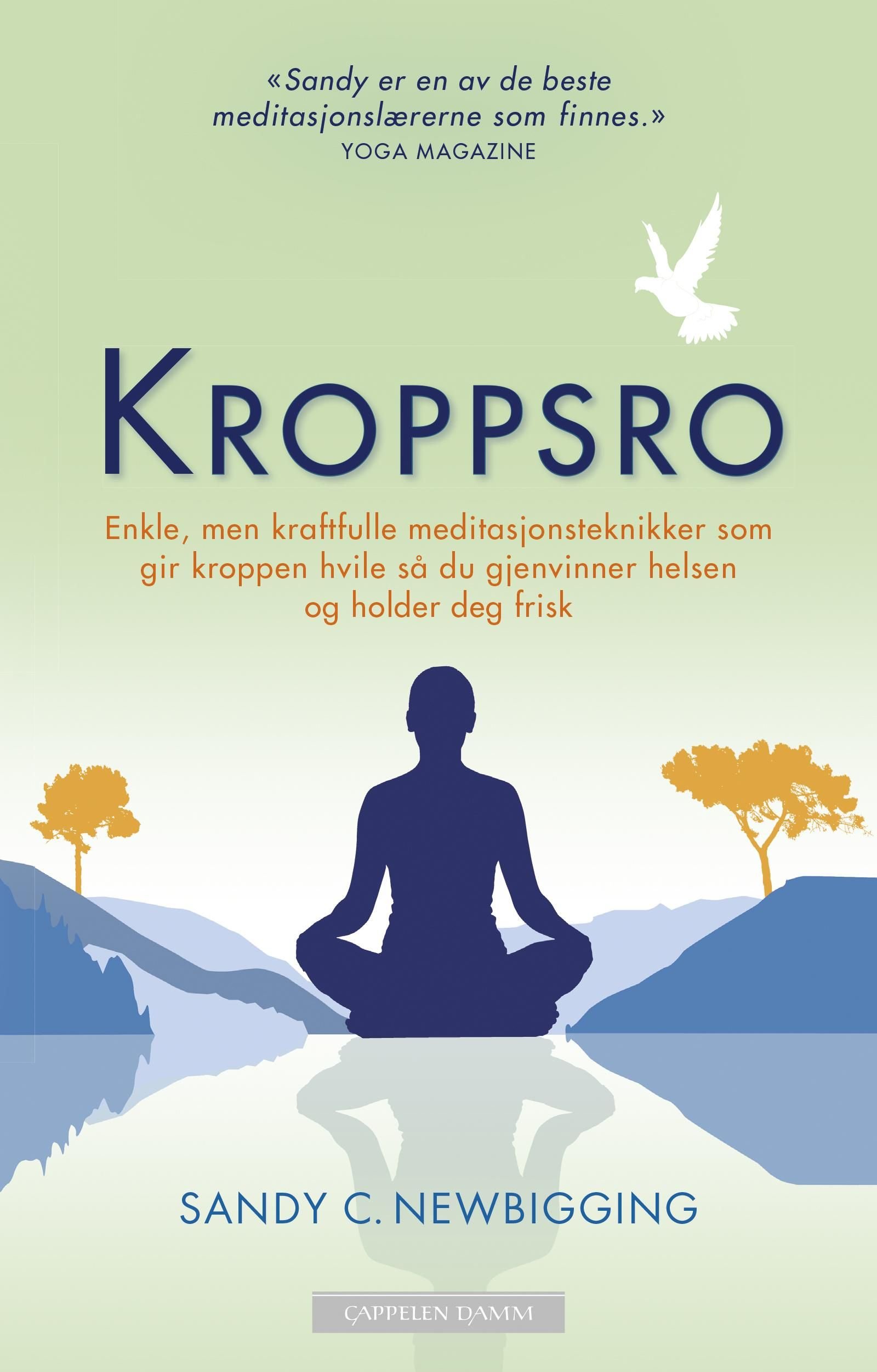 Kroppsro - enkle, men kraftfulle meditasjonsteknikker som gir kroppen hvile så du gjenvinner helsen og holder deg frisk