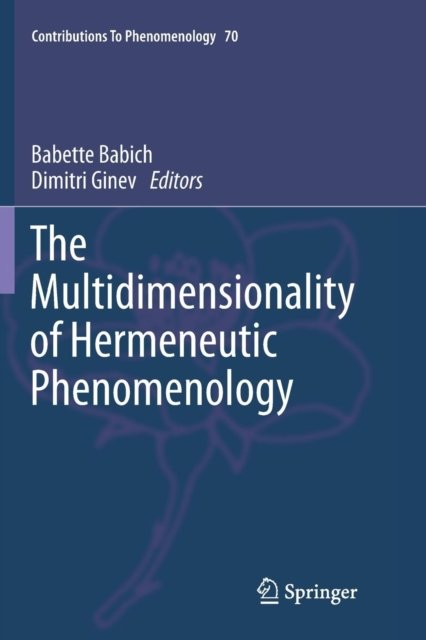 The Multidimensionality of Hermeneutic Phenomenology