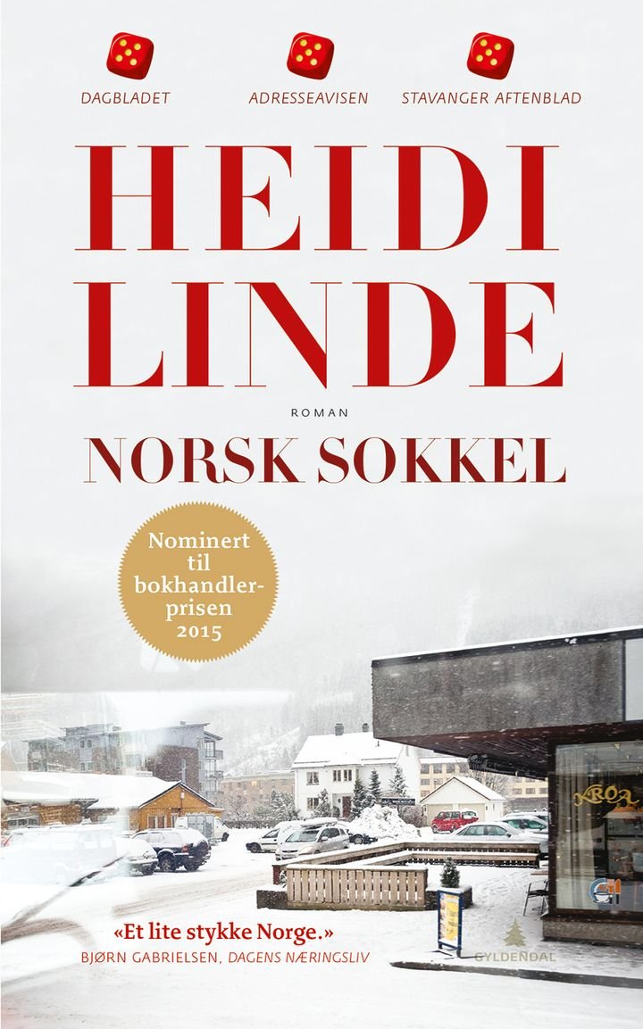Norsk sokkel - roman
