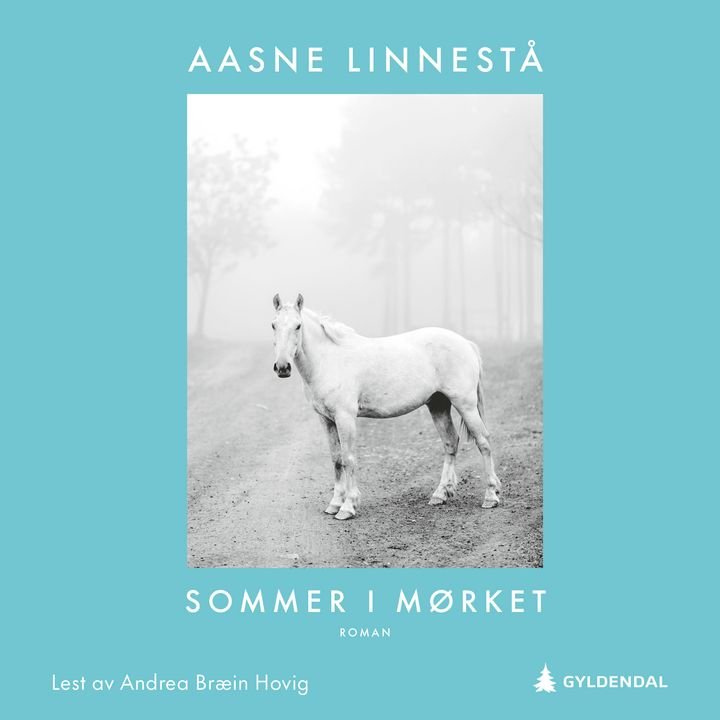 Sommer i mørket - roman