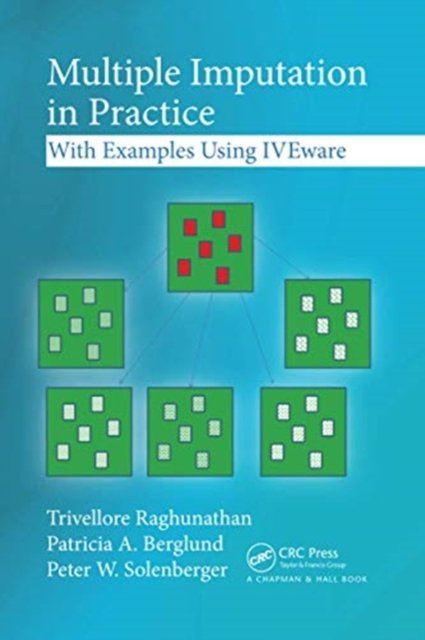 Multiple Imputation in Practice