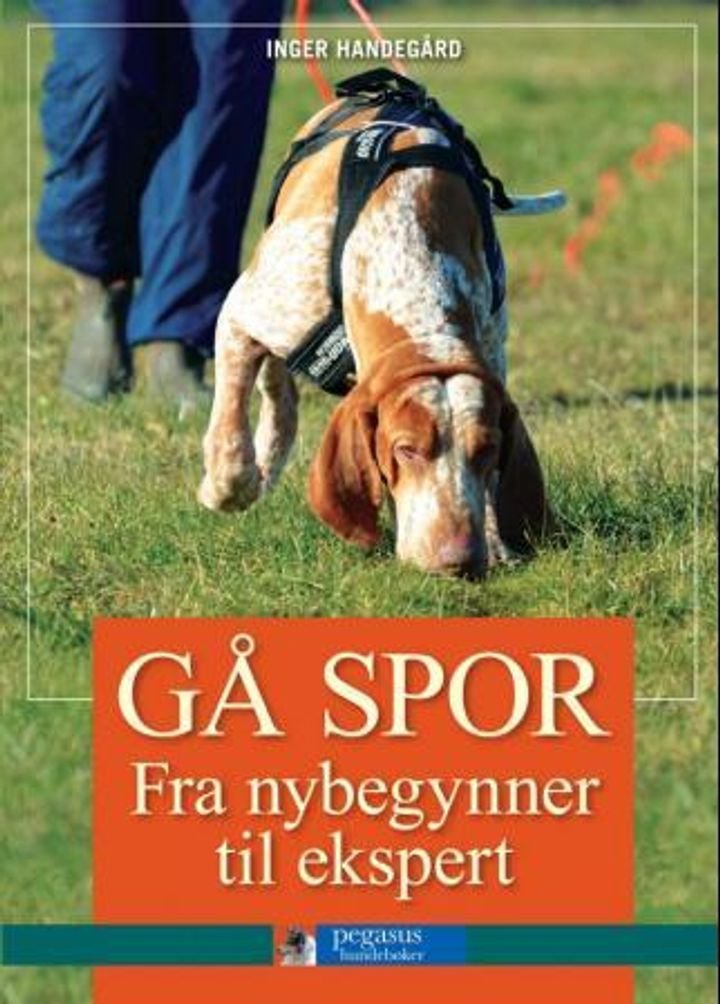 Gå spor - fra nybegynner til ekspert