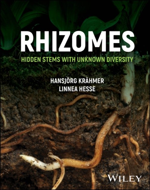 Rhizomes – Hidden Stems with Unknown Diversity