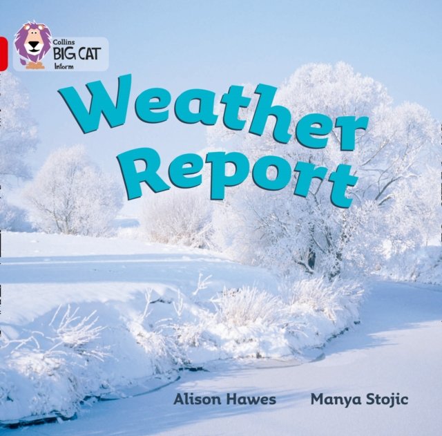BIG CAT - WEATHER REPORT