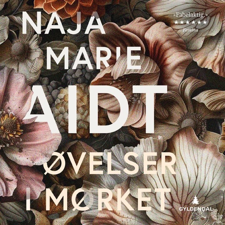 Øvelser i mørket - roman