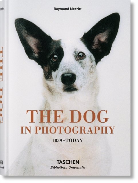 The Dog in Photography 1839–Today