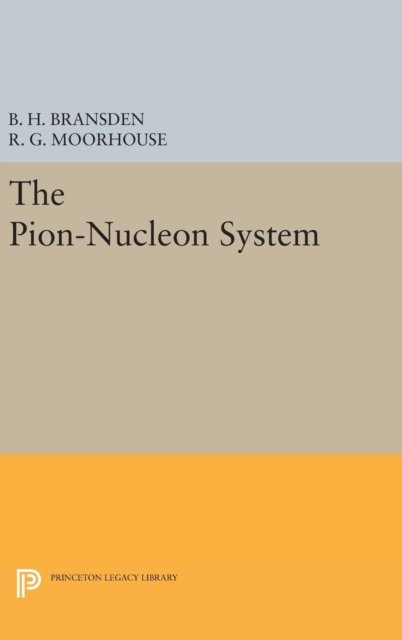 The Pion-Nucleon System
