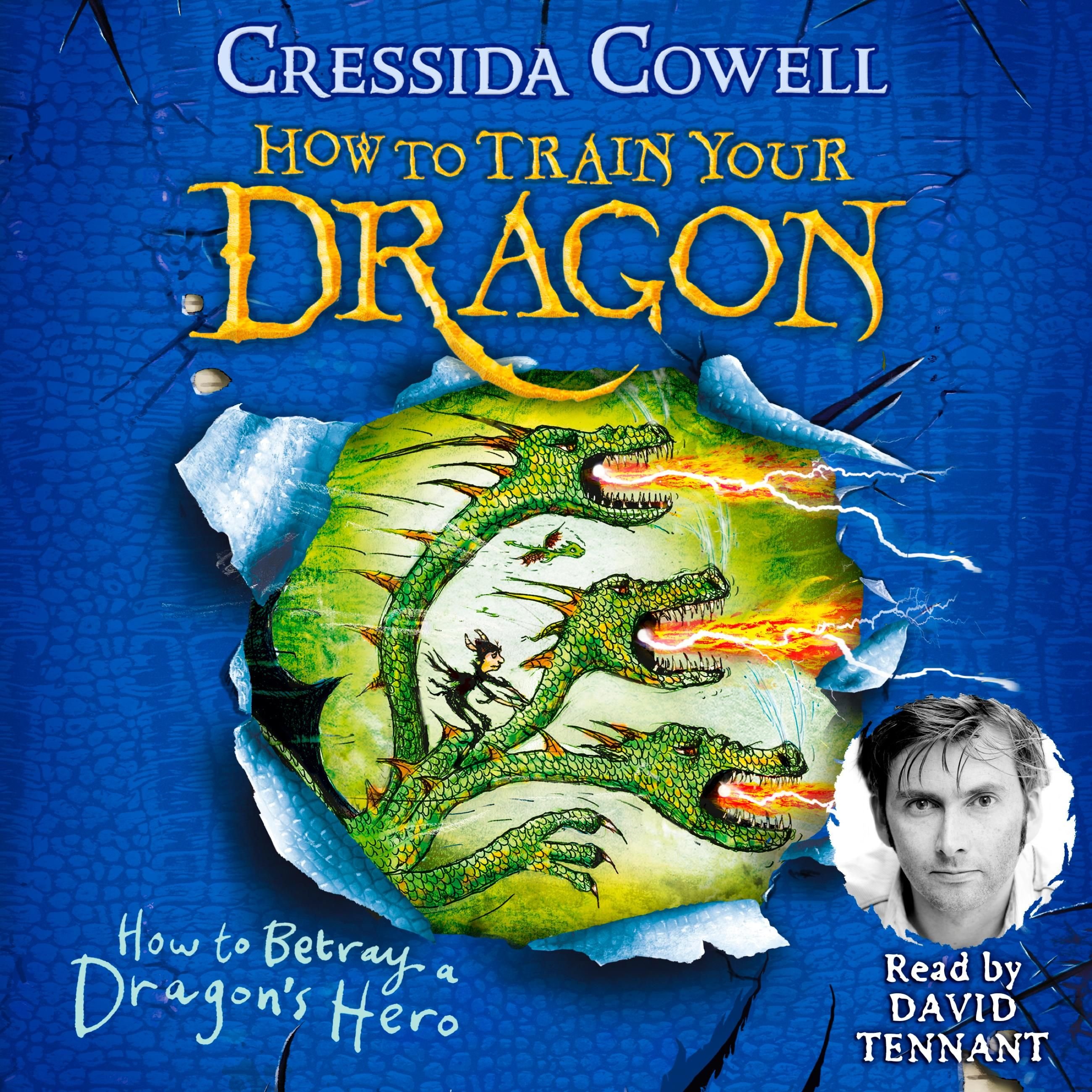 How to Train Your Dragon: How to Betray a Dragon's Hero