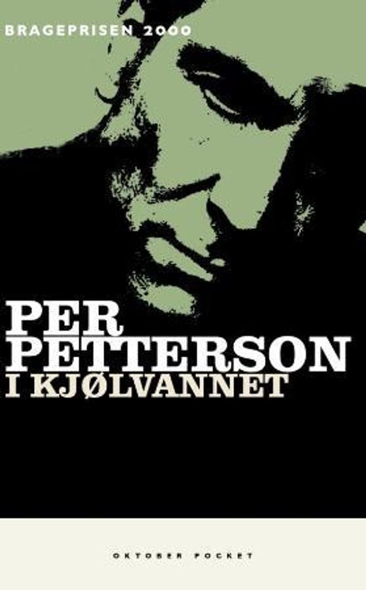 I kjølvannet - roman