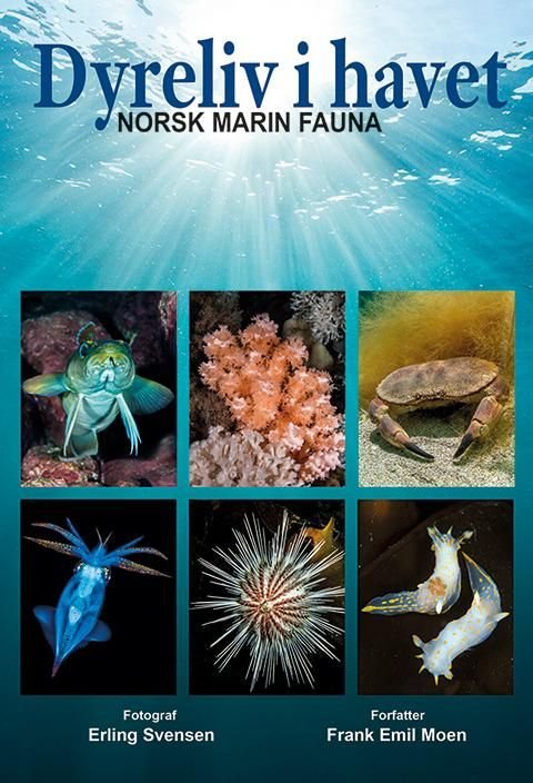 Dyreliv i havet - norsk marin fauna
