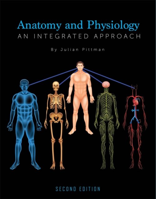 Anatomy and Physiology