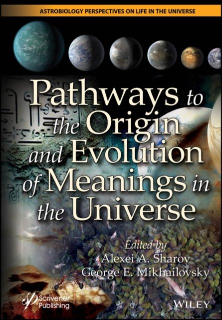 Pathways to the Origin and Evolution of Meanings i n the Universe