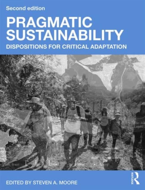 Pragmatic Sustainability
