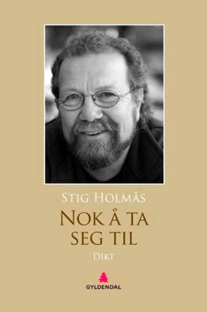 Nok å ta seg til - dikt