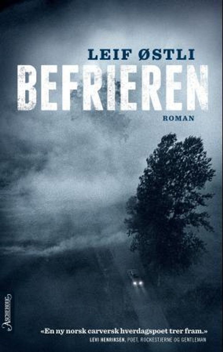 Befrieren - roman