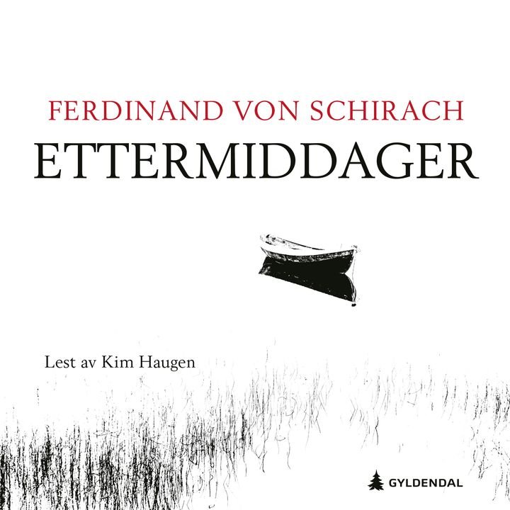 Ettermiddager