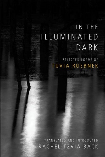 In the Illuminated Dark