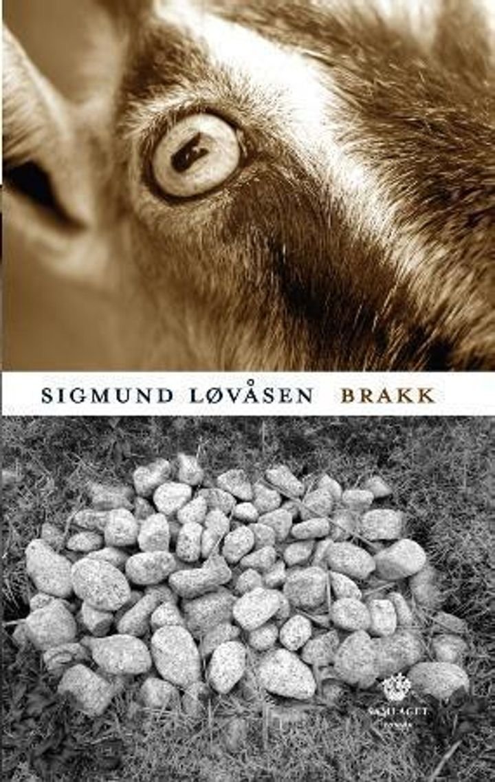 Brakk - roman