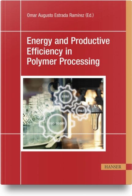 Energy and Productive Efficiency in Polymer Processing