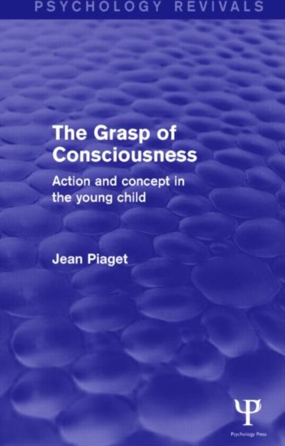 The Grasp of Consciousness