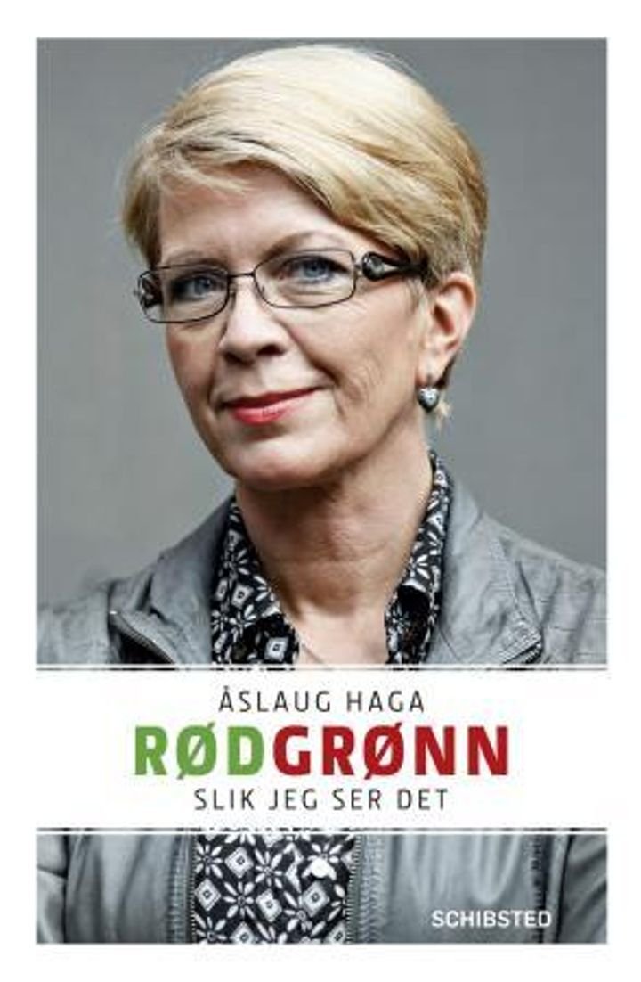 Rødgrønn - slik jeg ser det