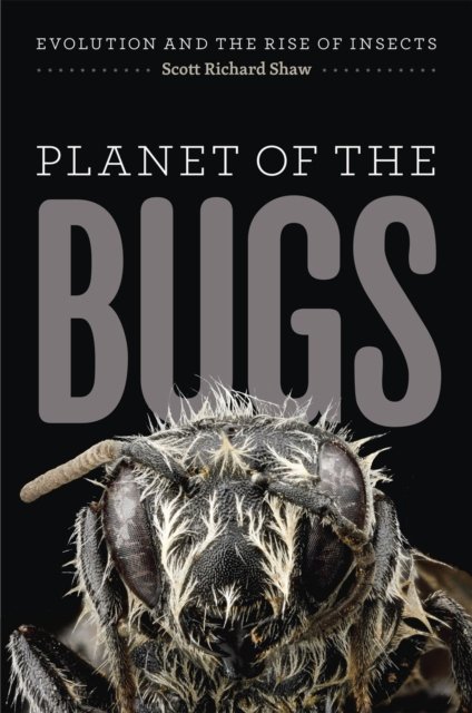 Planet of the Bugs – Evolution and the Rise of Insects