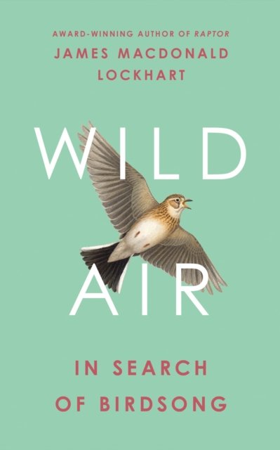 WILD AIR HB