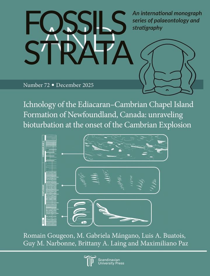 Ichnology of the Ediacaran–Cambrian Chapel island formation of Newfoundland, Canada